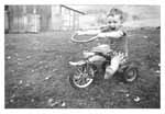 A kid on a tricycle
